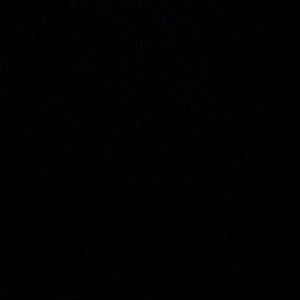 Meet your Posher, Damon